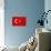 Turkey Flag Design with Wood Patterning - Flags of the World Series-Philippe Hugonnard-Stretched Canvas displayed on a wall