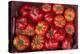 Turkey, Gaziantep, Informally Called Antep, Fresh Vegetables and Fruits are Plentiful. Tomatoes-Emily Wilson-Premier Image Canvas