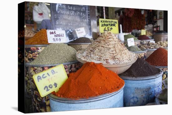 Turkey, Gaziantep, Medina, Spice Market in Old Bazaar of Zincirli Bedesten-Emily Wilson-Premier Image Canvas