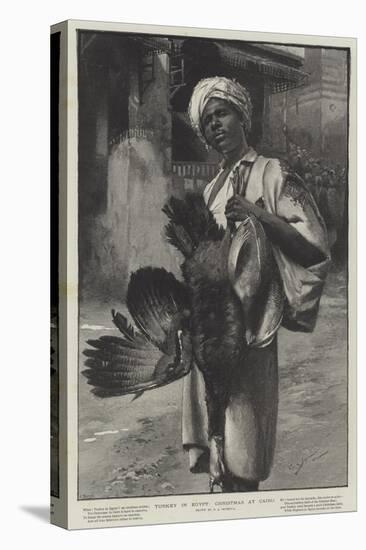 Turkey in Egypt, Christmas at Cairo-George L. Seymour-Premier Image Canvas