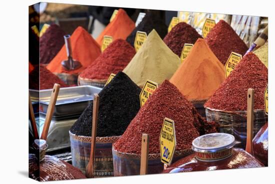 Turkey, Istanbul. Spice Bazaar.-Emily Wilson-Premier Image Canvas