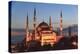 Turkey, Istanbul. Sultan Ahmet Mosque, Rooftop view.-Emily Wilson-Premier Image Canvas