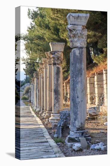 Turkey, Izmir, Selcuk, ancient city Ephesus. Columned Harbor Street.-Emily Wilson-Premier Image Canvas