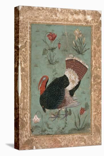 Turkey, Mughal-null-Premier Image Canvas