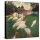 Turkeys-Claude Monet-Stretched Canvas