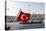 Turkish Flag, Passenger Ferry and Seagulls, Istanbul, Turkey-Ali Kabas-Premier Image Canvas