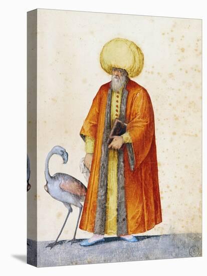 Turkish Man with Flamingo-Jacopo Ligozzi-Premier Image Canvas