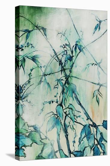 Turquoise Garden-Rikki Drotar-Premier Image Canvas