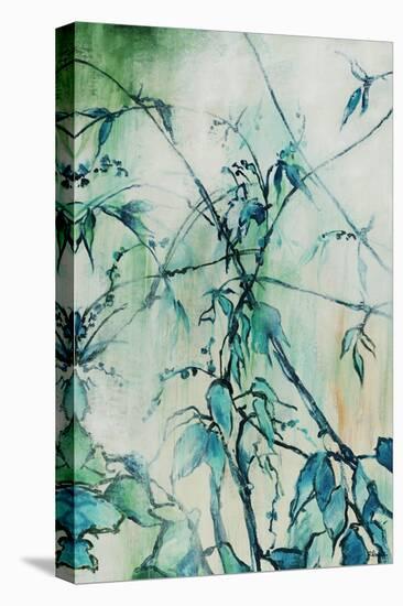 Turquoise Garden-Rikki Drotar-Premier Image Canvas