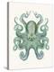 Turquoise Octopus and Squid a-Fab Funky-Stretched Canvas