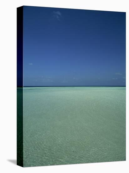 Turquoise Sea and Blue Sky, Seascape in the Maldives, Indian Ocean-Fraser Hall-Premier Image Canvas