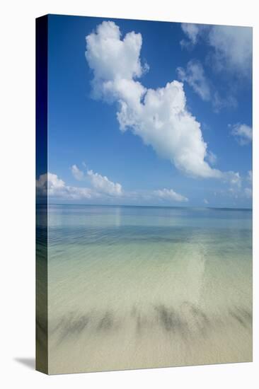 Turquoise waters and white sand beach, Ouvea, Loyalty Islands, New Caledonia, Pacific-Michael Runkel-Premier Image Canvas