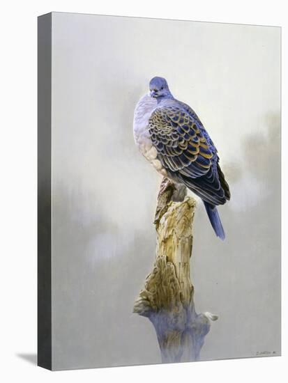 Turtle Dove-Joh Naito-Premier Image Canvas