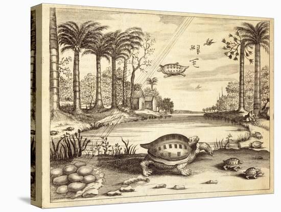 Turtle Eggs Hatching, from 'China Illustrated' by Athanasius Kircher (1601-80) 1667-null-Premier Image Canvas