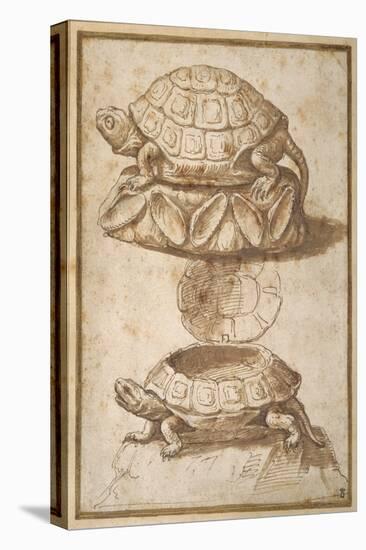 Turtle Shaped Sweetmeat Box-Giulio Romano-Premier Image Canvas