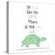 Turtle-Erin Clark-Premier Image Canvas