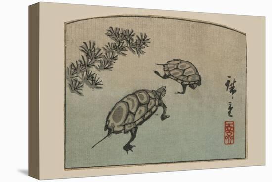 Turtles (Kame)-Ando Hiroshige-Stretched Canvas