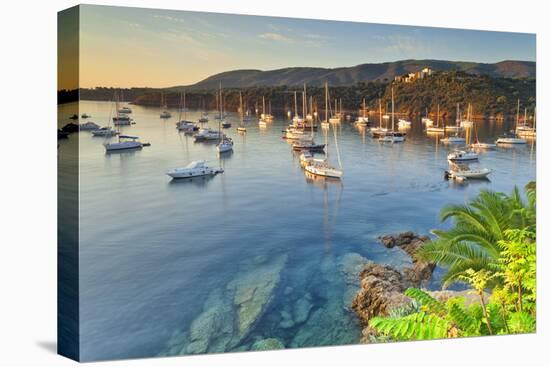 Tuscan Archipelago National Park, Elba Island, Porto Azzurro, Tuscany, Italy-Francesco Iacobelli-Premier Image Canvas