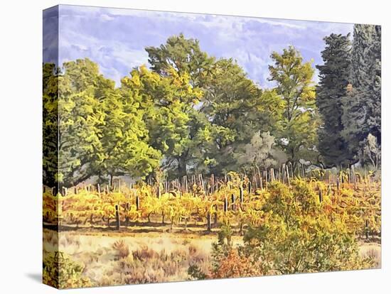 Tuscan Countryside In Autumn-Dorothy Berry-Lound-Premier Image Canvas