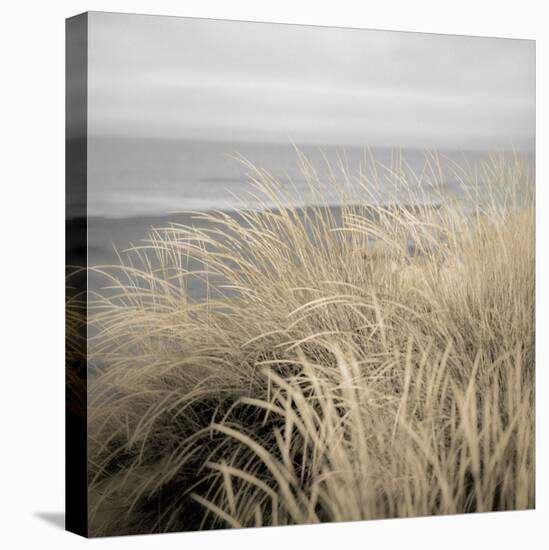 Tuscan Dunes #2A-Alan Blaustein-Stretched Canvas