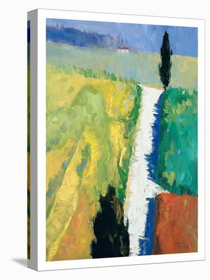 Tuscan Field II-Peter Fiore-Stretched Canvas