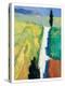 Tuscan Field II-Peter Fiore-Stretched Canvas