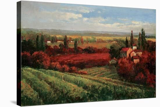 Tuscan Fields of Red-Matt Thomas-Stretched Canvas