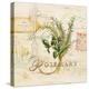 Tuscan Herbs-Angela Staehling-Stretched Canvas