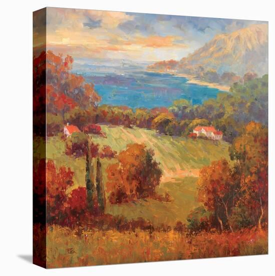 Tuscan Hill View-K. Park-Stretched Canvas