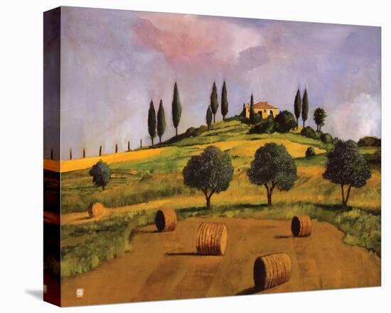 Tuscan Hillside-Judith D'Agostino-Stretched Canvas