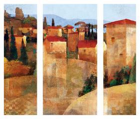 Tuscan Hillside-Keith Mallett-Stretched Canvas