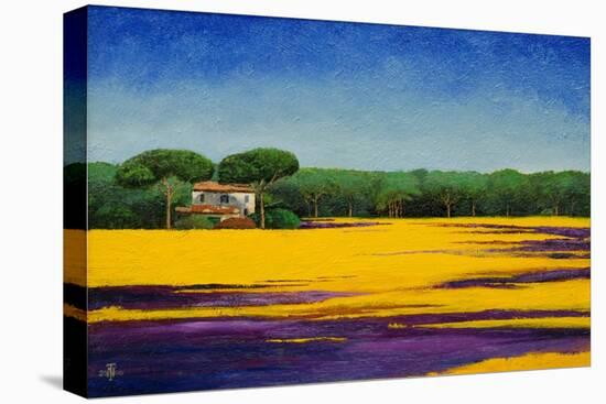 Tuscan Landcape, 2010-Trevor Neal-Premier Image Canvas