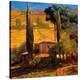 Tuscan Morning Light-Philip Craig-Stretched Canvas