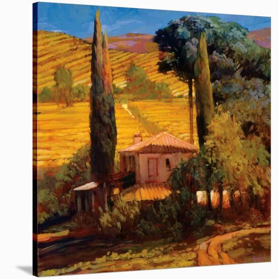 Tuscan Morning Light-Philip Craig-Stretched Canvas