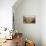 Tuscan Perspective-Vail Oxley-Stretched Canvas displayed on a wall