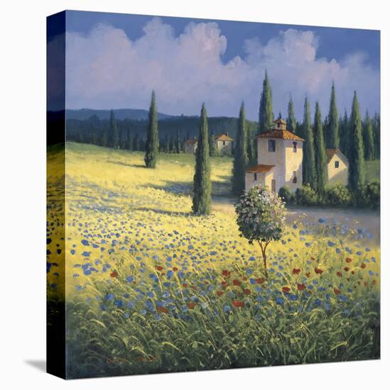 Tuscan Poppies I-David Short-Stretched Canvas