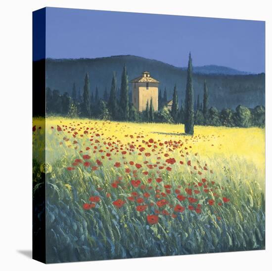 Tuscan Poppies II-David Short-Stretched Canvas