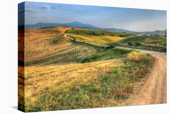 Tuscan Ridge Top Trail-Robert Goldwitz-Premier Image Canvas