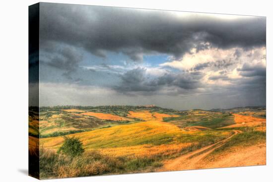 Tuscan Storm II-Robert Goldwitz-Premier Image Canvas