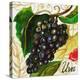 Tuscan Sun Grapes-Jennifer Garant-Premier Image Canvas