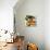 Tuscan Sun Pears-Jennifer Garant-Premier Image Canvas displayed on a wall