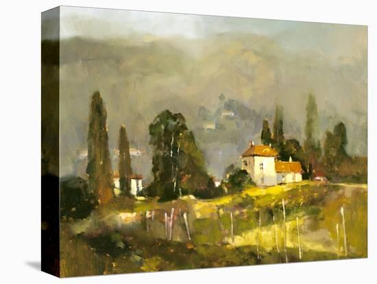 Tuscan Valley-Ted Goerschner-Premier Image Canvas