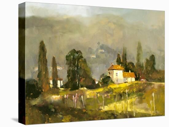 Tuscan Valley-Ted Goerschner-Premier Image Canvas