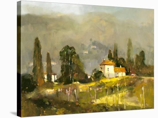 Tuscan Valley-Ted Goerschner-Premier Image Canvas