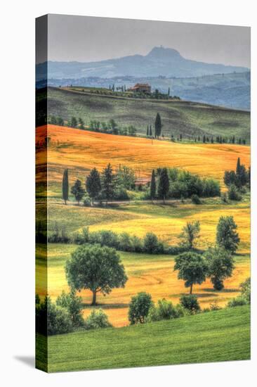 Tuscan Vertical Switchbacks-Robert Goldwitz-Premier Image Canvas