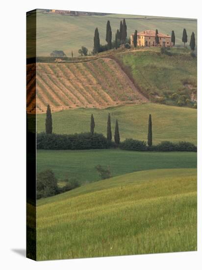 Tuscan Villa and Farmhouse, San Quirico D'Orcia, Val d'Orcia, Italy-Walter Bibikow-Premier Image Canvas