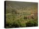 Tuscan Villa View, Radda in Chianti, II Chianti, Tuscany, Italy-Walter Bibikow-Premier Image Canvas