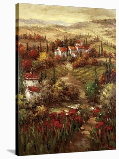Tuscan Village-Hulsey-Stretched Canvas