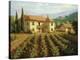 Tuscan Vineyard-Roger Williams-Stretched Canvas