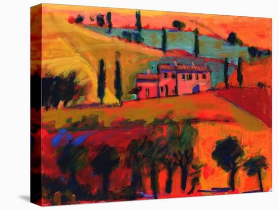 Tuscany, 2008-Paul Powis-Premier Image Canvas